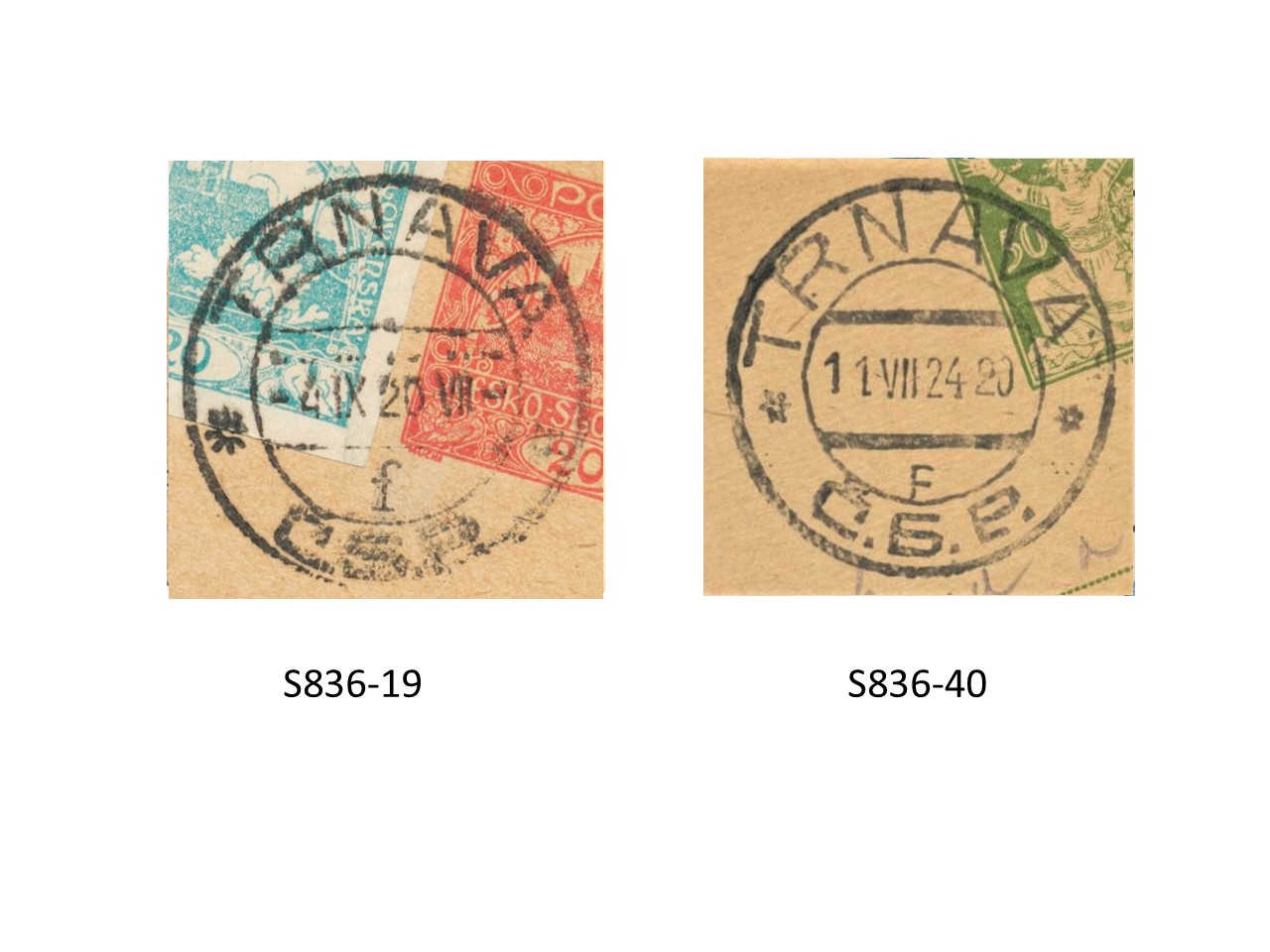 Image explaning a special condition for the cancellation